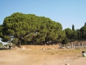 Ephesus, Ephesus Turkey 4